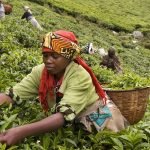 Rwanda’s economy gains S&P outlook status