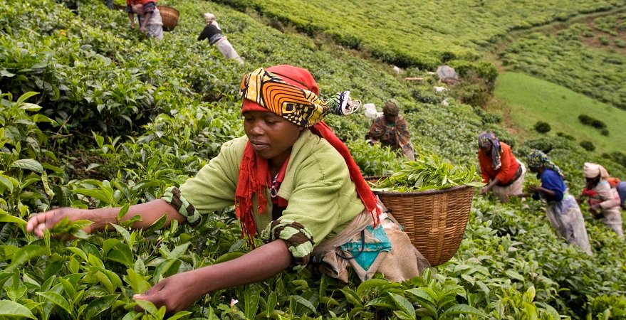 Rwanda’s economy gains S&P outlook…