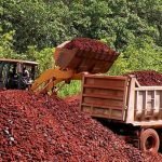 Govt promises to protect forest reserves as China gets set to mine bauxite