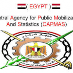 Cotton exports increases by 6.9% in Egypt
