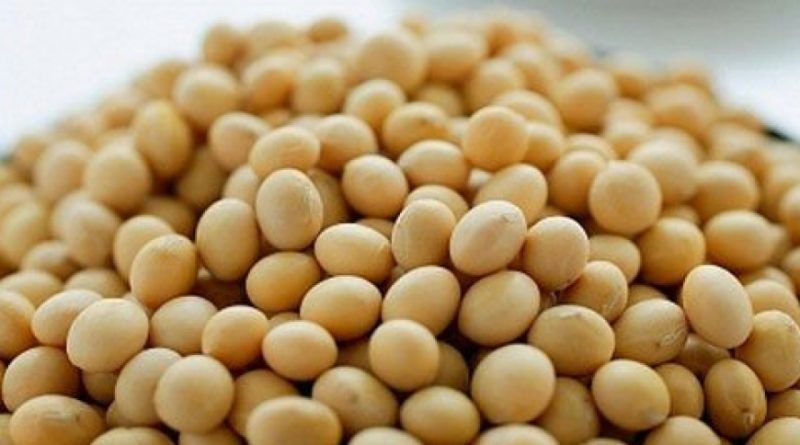 Ghana moves to take $2.4bn China soya market