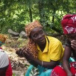 UN Introduces forest project worth $3.6million in central Mozambique