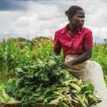 Expert says Ghana needs $40 million to fill gaps in its agricultural sector and enhance its growth