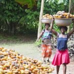 Agriculture Fast Track Fund set to launch 17 new projects