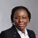 Nigeria’s capacity to attract investment enormous: Hamda Ambah