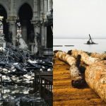 Ghanaian Timber firm Offers Support to Rebuild Notre Dame Cathedral