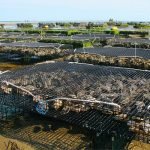 International, Pan-African Organisations Commit To Collaboration on Blue Economy