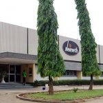 Oluwaseun Nelson appointed Executive Director of Neimeth