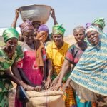 Global Shea Alliance signs $3.6m agreement with EIF