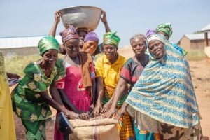 Global Shea Alliance signs $3.6m agreement with EIF