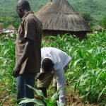Benue collaborates with FTF to Boost Agribusiness
