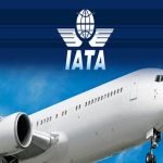 African Airlines Records Fastest Growth in Air Cargo