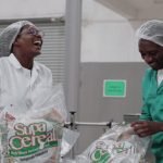 Getting Women in The Driver’s Seat of Africa’s Agribusiness Revolution