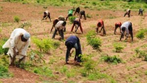 Badagry LG donates relief food items to 100…