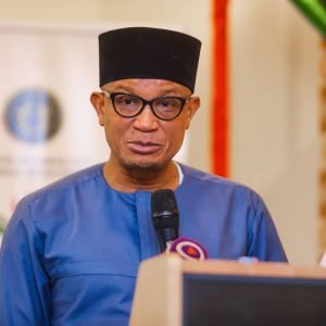 National Petroleum Authority(NPA) appoints Mustapha Hamid as CEO