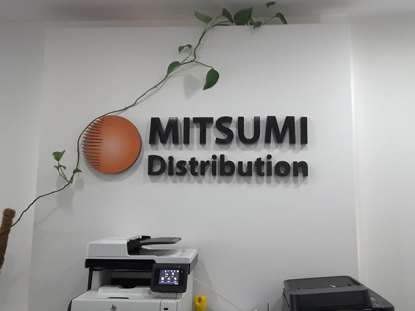 Mitsumi Distribution sets to expand…