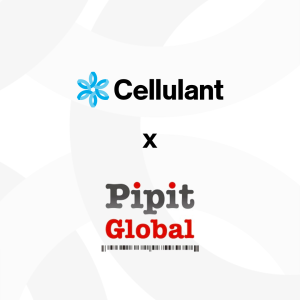 Pipit Global Enters 12 New African Markets with&hellip;