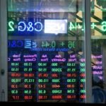 Investment schemes raise stocks holdings by 88%
