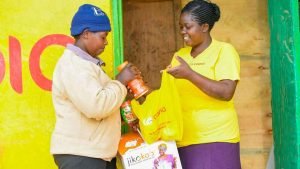 Kenyan start-ups raise Sh8.8bn from international investors for&hellip;
