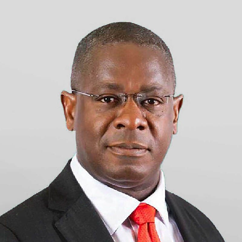 Pan-African Payment and Settlement Systems (PAPSS) goes live among central banks