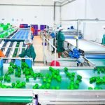Kenya: Sasini profit surges to Sh573m on higher sales