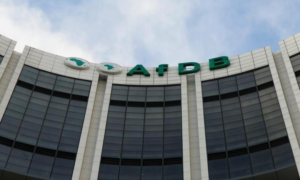 AFDB approves dual currency to boost agricultural chains