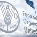 Global indicators on the costs of healthy diets and how many people can’t afford them