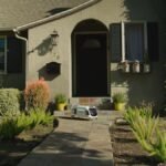 USA: Zipline to launch home distribution service using drone-droid combo