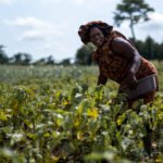 Cote d’Ivoire: African Development Bank extends €400 million in Partial Credit Guarantees to mobilize funds for strategic ESG projects