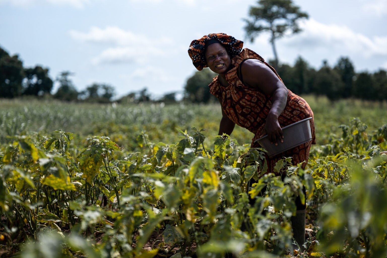 Cote d’Ivoire: African Development Bank extends €400 million in Partial Credit Guarantees to mobilize funds for strategic ESG projects