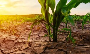 Green climate fund approves World Food Programme (WFP’s)&hellip;