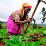 Somalia commits $10 million to tackle climate change and biodiversity loss