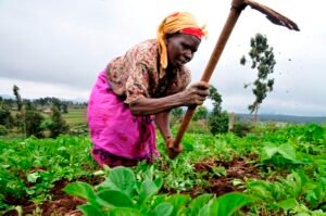 Somalia commits $10 million to tackle climate change&hellip;
