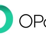 Opay emerges as leading fintech platform in Nigeria, garners global recognition
