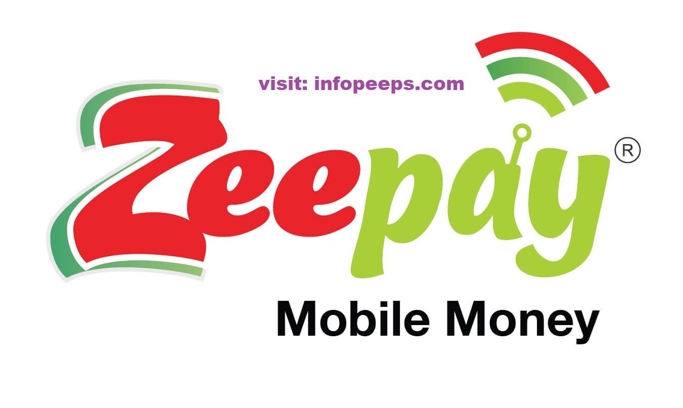 Ghana: Zeepay’s profits surge 274.5%…