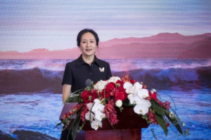 Huawei supplies chips for spy cameras