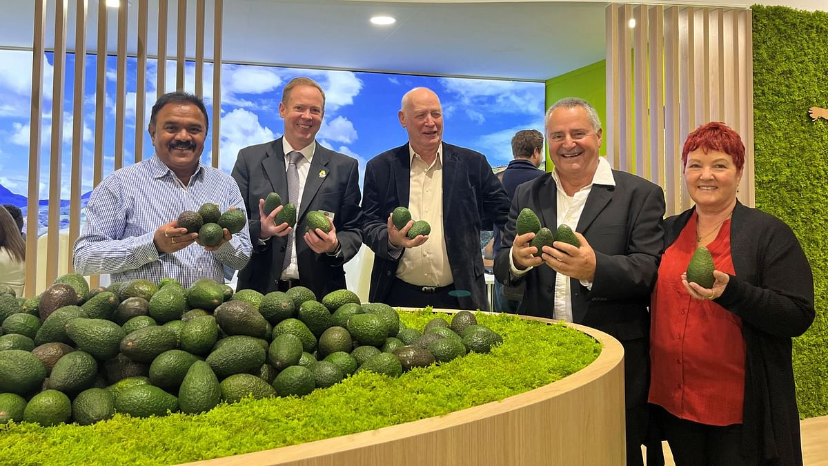 Kenya expands its avocado exports to India market