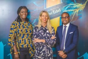 Ghana: Guinness achieves robust financial performance