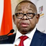 SA: Nzimande visits Japan to strengthen hydrogen economy cooperation