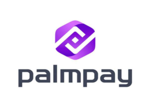 Nigeria: PalmPay bridging financial literacy gap