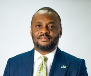 Nigeria: SEC approves Chiemeka CEO of Nigerian Exchange