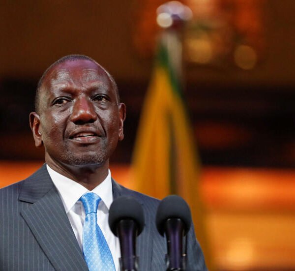 Kenyan Shilling Leads African Currencies with Significant Value…