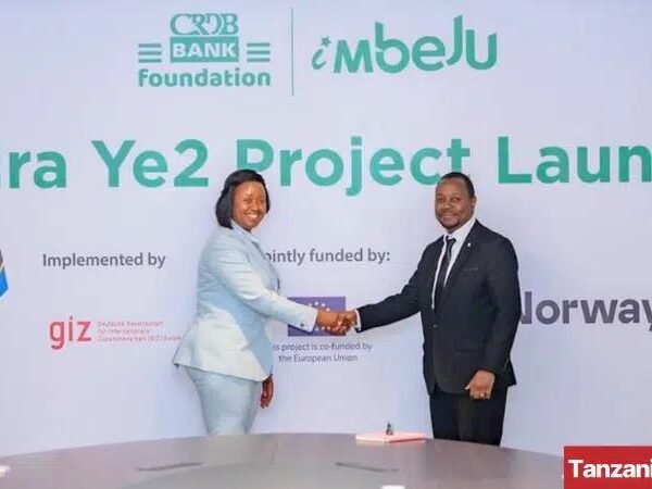 Tanzania:CRDB Bank, GIZ launch Sh3bn Fund for entrepreneurs