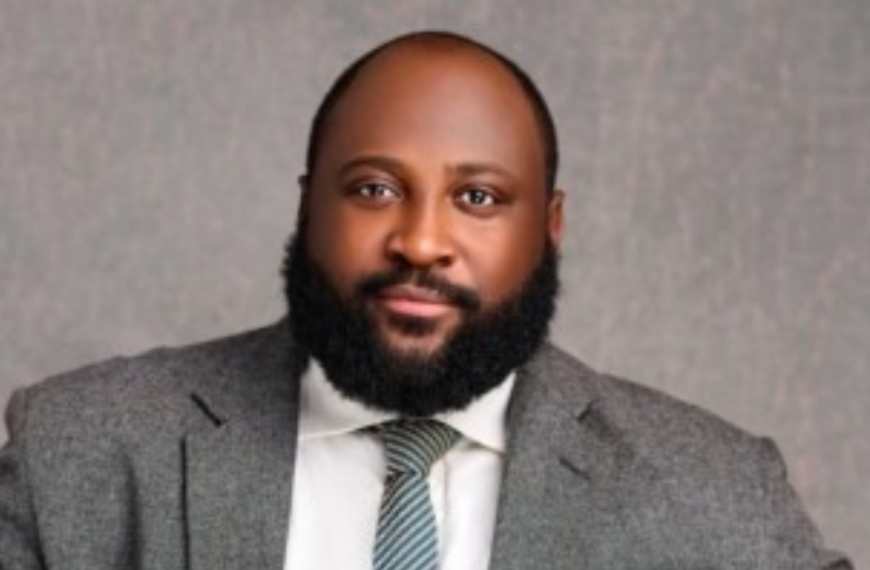 Ayotunde Awe assumes new role as Acting CEO for Fiducia Data Services