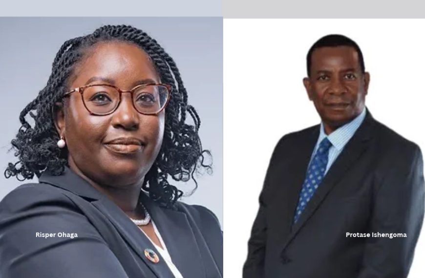 APA Apollo acquires majority stake in Tanzania’s Meticulous Insurance and Metro Life
